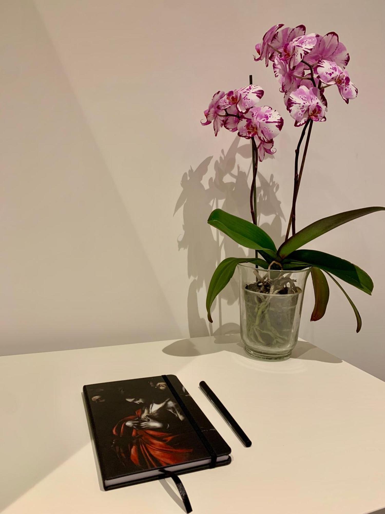 Residenza D'Artista Al Conservatorio Salerno Dış mekan fotoğraf